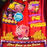 pig